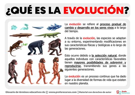 que es la evolucion